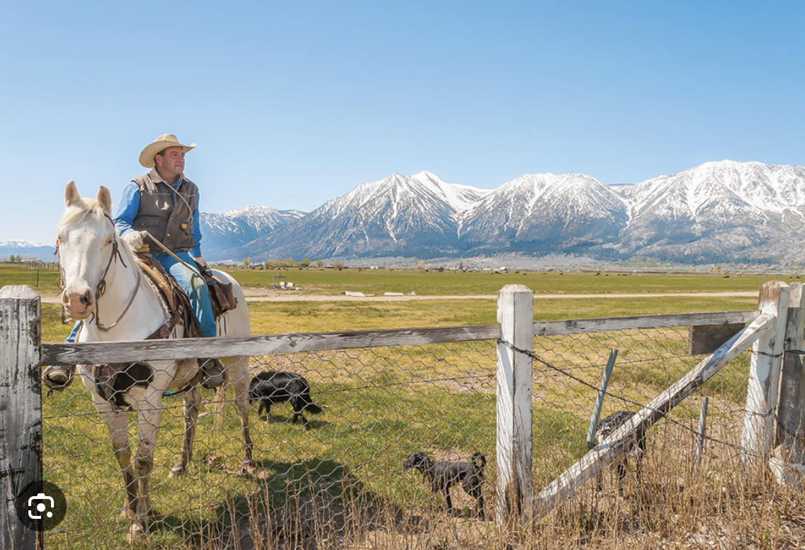 Rancher on horseback with snowy mountains behind