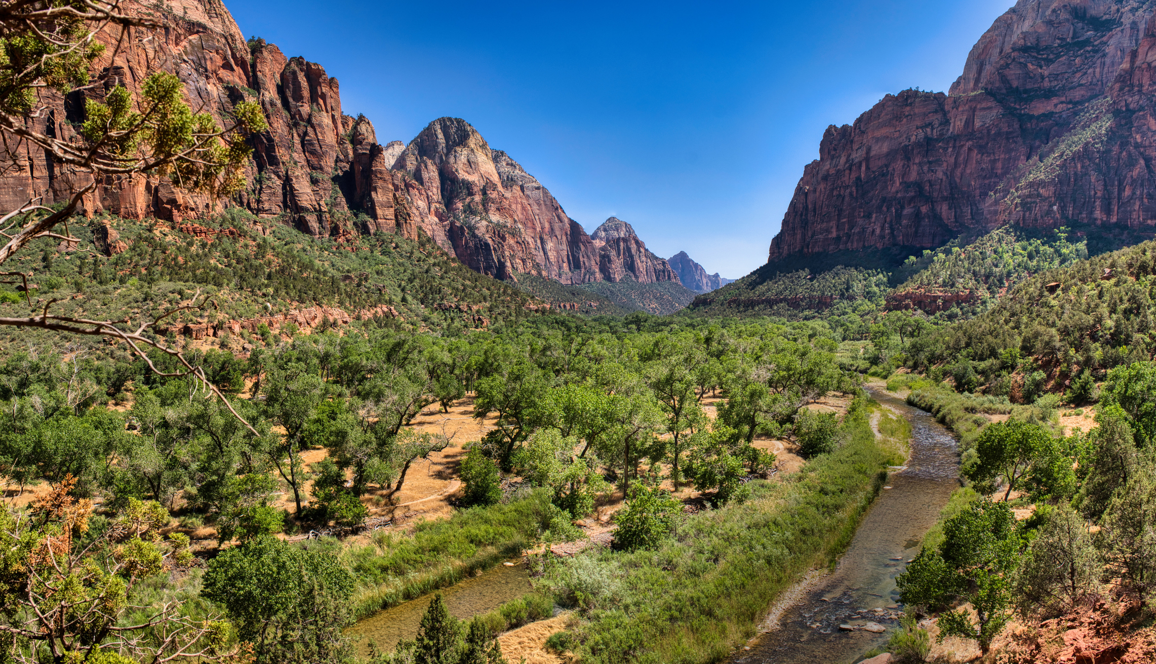 Zion canyon with river and red cliffs